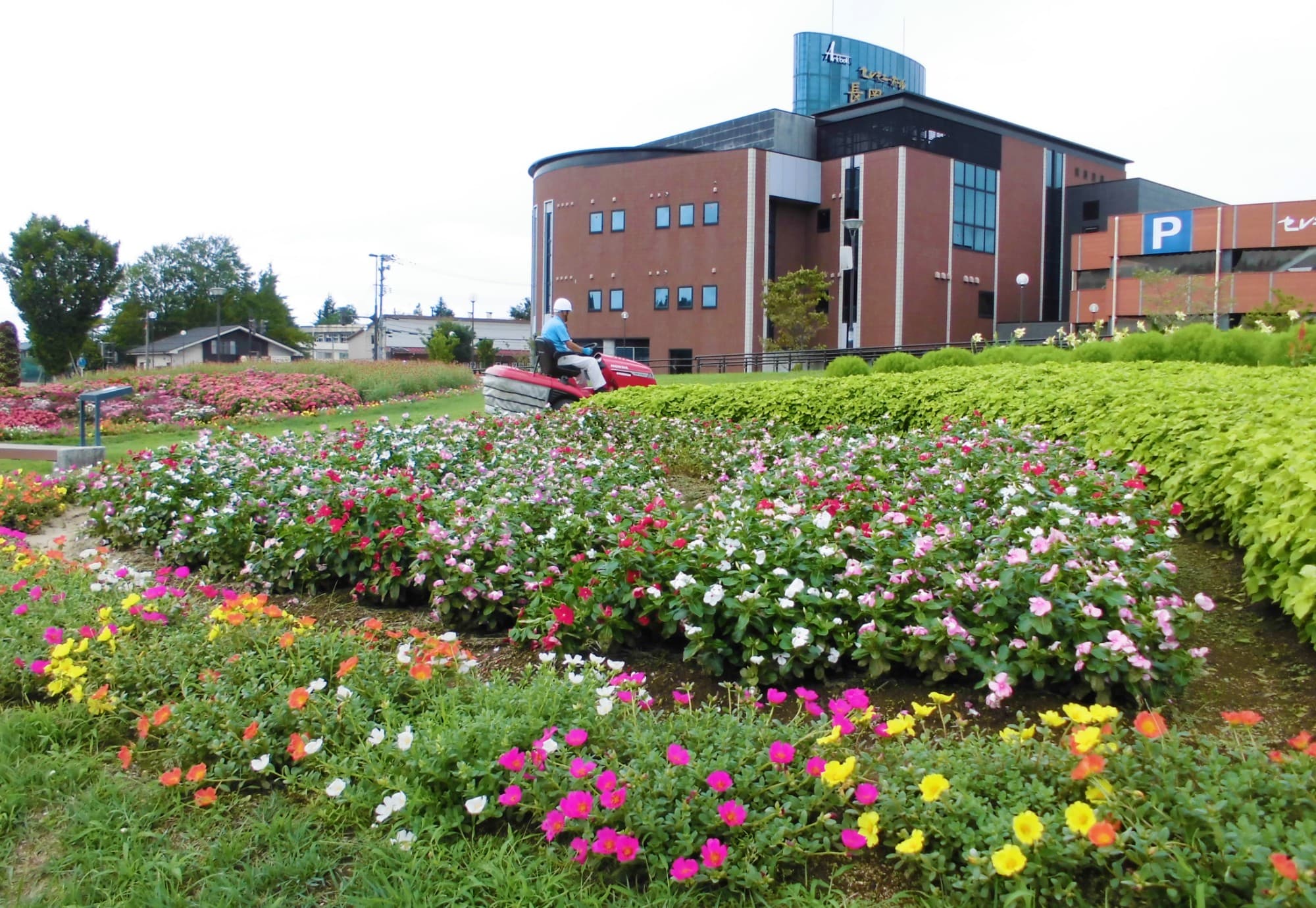 乗用芝刈機（2021年寄贈）