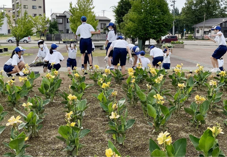 中学生のボランティアによる花壇の花の植え替え