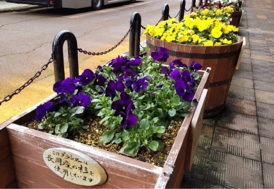長岡駅前で乗客を出迎える花々